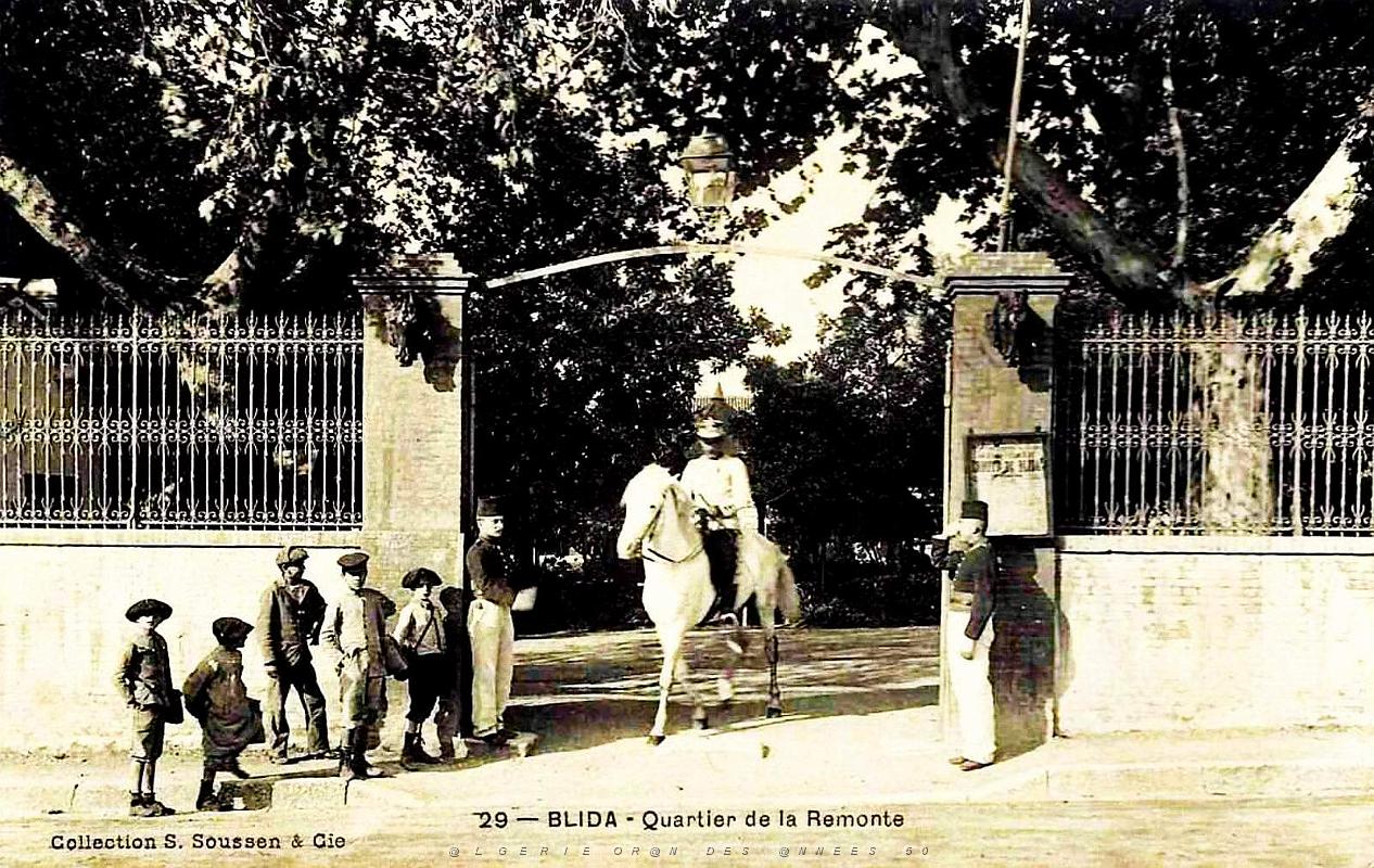 1736- Blida - Quartier de la Remonte.jpg